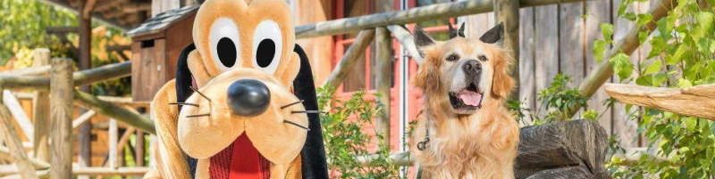 Pluto en een hond in Disneyland Paris